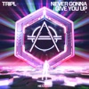Never Gonna Give You Up - Single