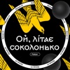 Ой, літає соколонько - Single