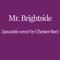 Mr. Brightside - Chester See & Christopher Harrison lyrics