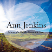 Ann Jenkins - Moonlight on the Shannon River artwork