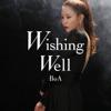 Wishing Well - Single