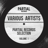 Partial Records Selection, Vol. 1 artwork