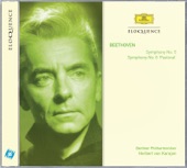 Beethoven: The Nine Symphonies artwork