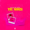 Te Vas - Single, 2019