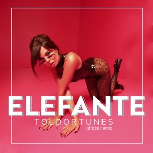 NK Elefante (ToldorTunes Remix)