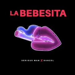 La Bebesita - Single by Serious Man & Danzel album reviews, ratings, credits
