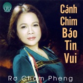 Cánh chim báo tin vui artwork