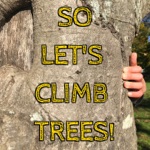 Levity Beet - So Let's Climb Trees