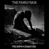Triumph & Disaster artwork