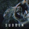 Sudden - Single artwork