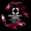 It's Party Time (Gruuve Remix) song lyrics