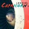 Landing - Single album lyrics, reviews, download
