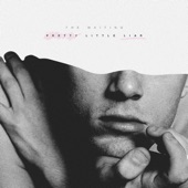 Pretty Little Liar - EP artwork