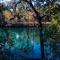 Echoes (feat. Sidney Scott) - Austin Daniel Brown lyrics