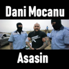 Asasin - Dani Mocanu