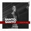 Santo, Santo (Ao Vivo) - Single