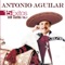 Corrido De La Noria - Antonio Aguilar lyrics