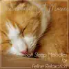 Instrumental Cat Music: Soft Sleep Melodies for Feline Relaxation album lyrics, reviews, download