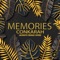 Memories (Acoustic Reggae Cover) artwork
