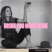 Drink Too Much Wine artwork