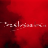 Szélvészben (feat. Tóth Sári) artwork