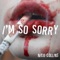 I'm so Sorry - Nico Collins lyrics