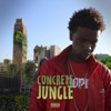 Concrete Jungle (Deluxe), 2017