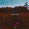 Pounds - NLN lyrics