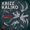 What Do You Mean? (feat. King Iso) - Krizz Kaliko lyrics