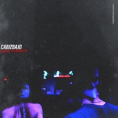 Cane Robbers (Dan Solo Remix) artwork