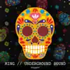 Underground Sound - Single album lyrics, reviews, download
