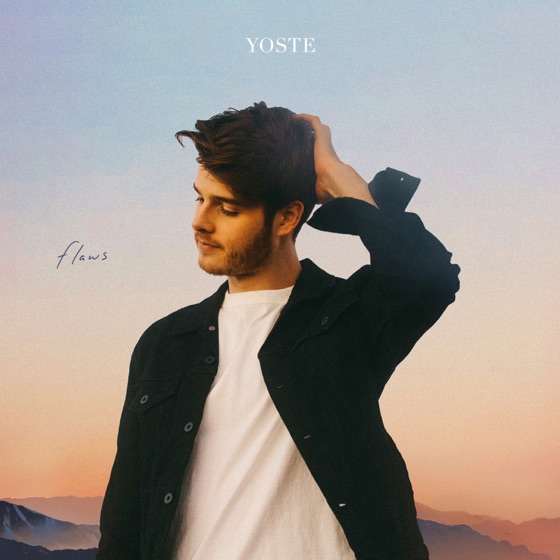 Cover artwork for Flaws