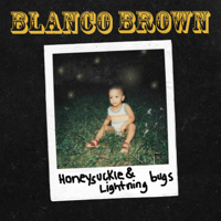 BLANCO BROWN - Honeysuckle & Lightning Bugs artwork