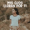 Mis ojos lloran por ti - Single