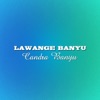 Lawange Banyu - Single