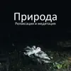 Природа: Релаксация и медитация, Фэн-шуй, Пение птиц, Океанские волны album lyrics, reviews, download