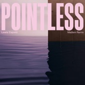 Pointless (Madism Remix) artwork