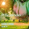 Suanda Spring, Vol. 6, 2019