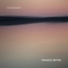 Teo Salfinger - Brave