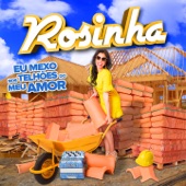 Rosinha - Eu Mexo nos Telhões do Meu Amor