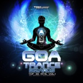 Goa Trance Wizards: 2020 Top 20 Hits by GoaDoc & DoctorSpook, Vol. 1 artwork