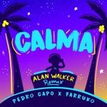 Pedro Capó, Alan Walker & Farruko - Calma