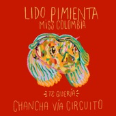 Te Quería (Chancha Vía Circuito Remix) artwork