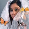 Joe Porchini - Mariposa