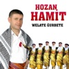 Welate Ğurbete - Single