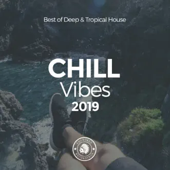 Chill Vibes 2019: Best of Deep & Tropical House by Various Artists album reviews, ratings, credits