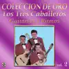Colección de Oro: Guitarras y Ritmos, Vol. 2 album lyrics, reviews, download