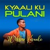 Kyaali Ku Pulani - Single