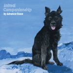 Your Dog by Advance Base