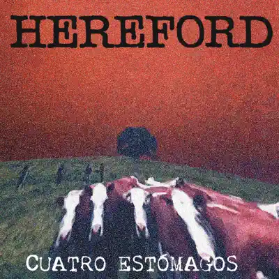Cuatro Estómagos - Hereford Cuatro Estómagos - Hereford
